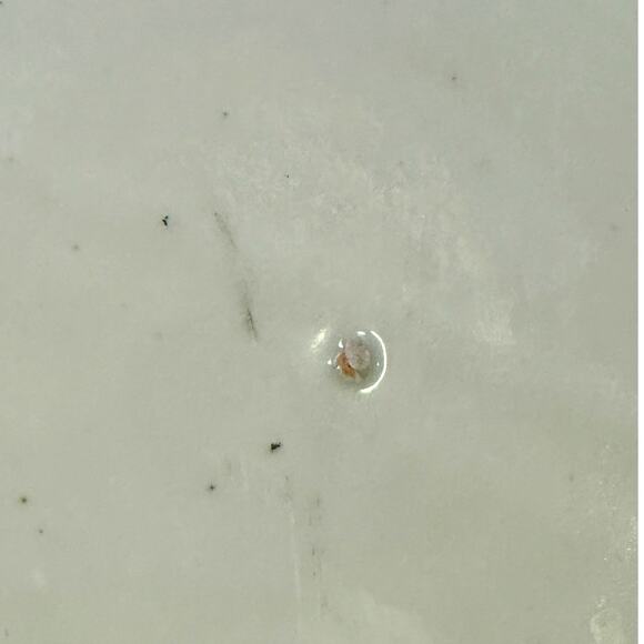 Antique Japanese Meiji Period 15" Charger Blue and White Landscape Arita Ware - Picture 8 of 8